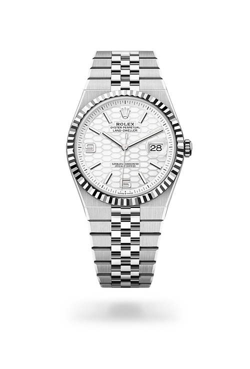 Rolex Land-Dweller 36